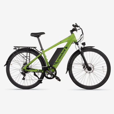 C3 Step-over Urban Gravel Ebike