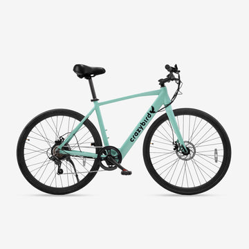 CB20 Electric Bike