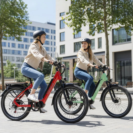 Seta Electric Bike